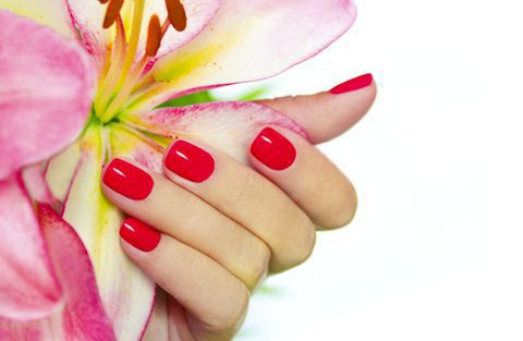 Nail Homepage 4